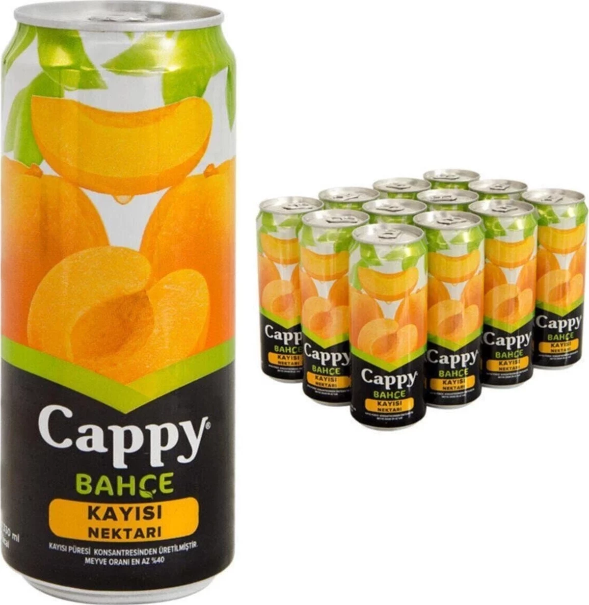 Cappy Kutu Kayısı Meyve Suyu